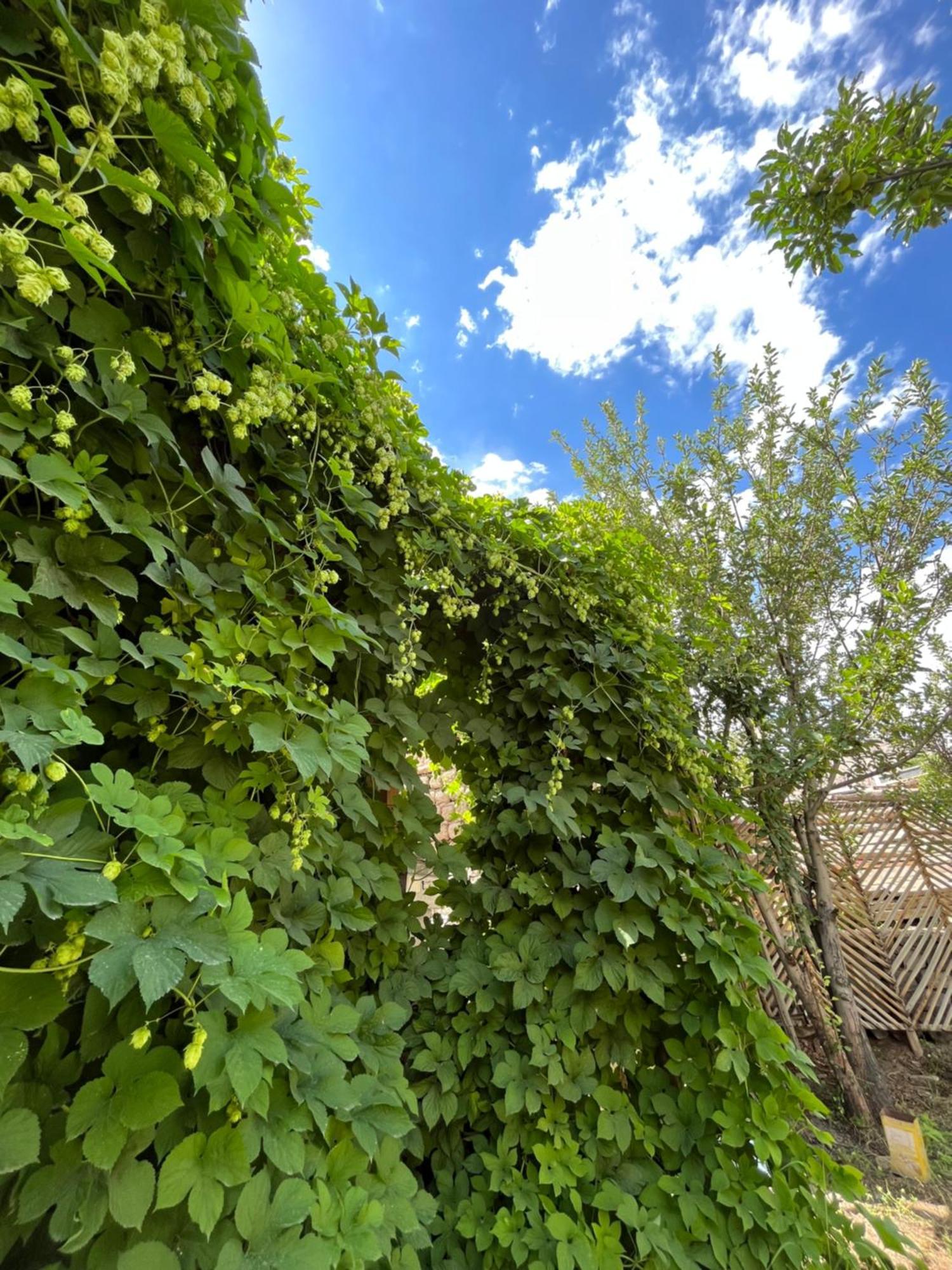 Chakzot Garden House Hotel Leh Ngoại thất bức ảnh