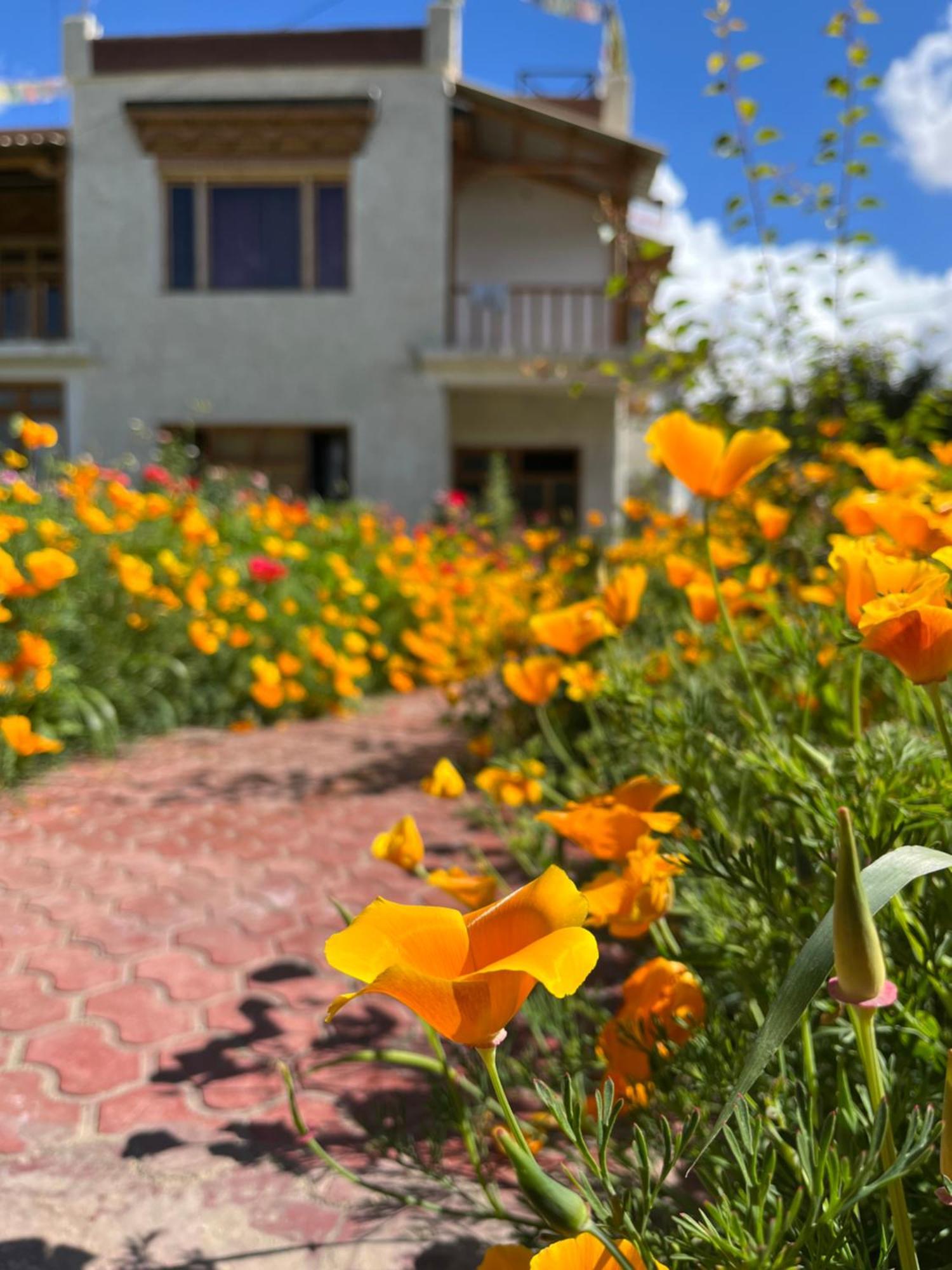 Chakzot Garden House Hotel Leh Ngoại thất bức ảnh